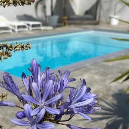 Villa La Pointe D'aspretto